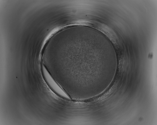 X0000098001180200804021024