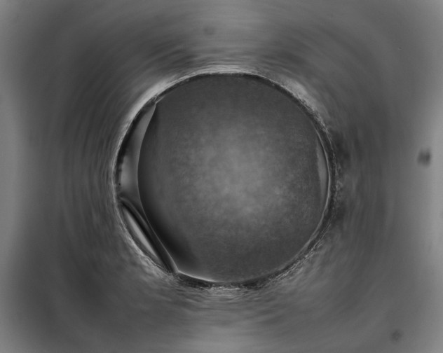 X0000098001181200804021024