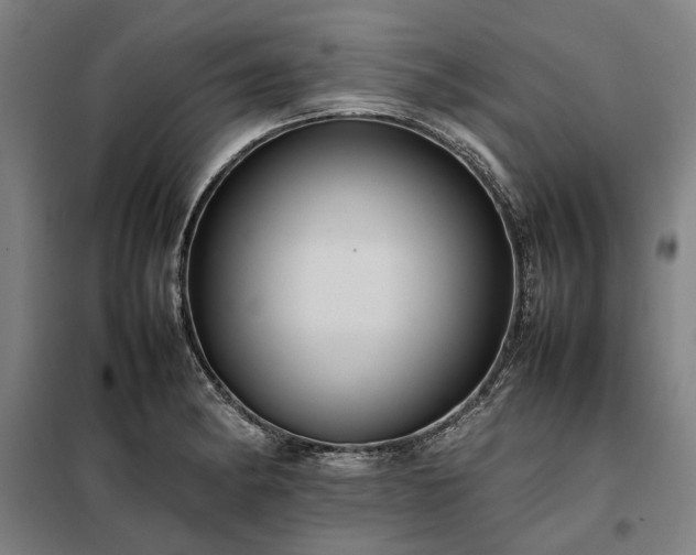 X0000098001182200804021024