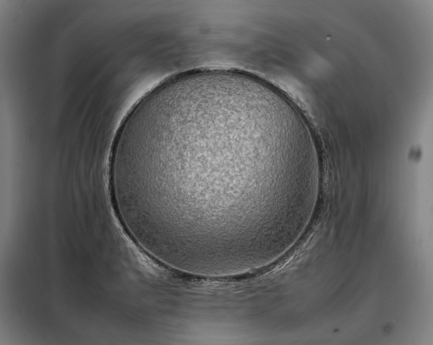 X0000098001183200804021024