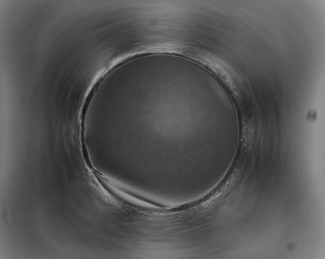 X0000098001184200804021024