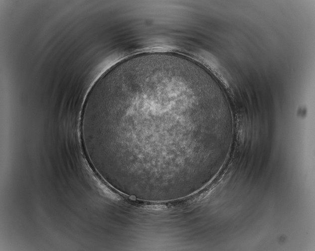 X0000098001186200804021024