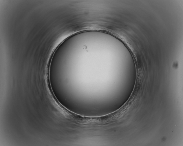 X0000098001187200804021024