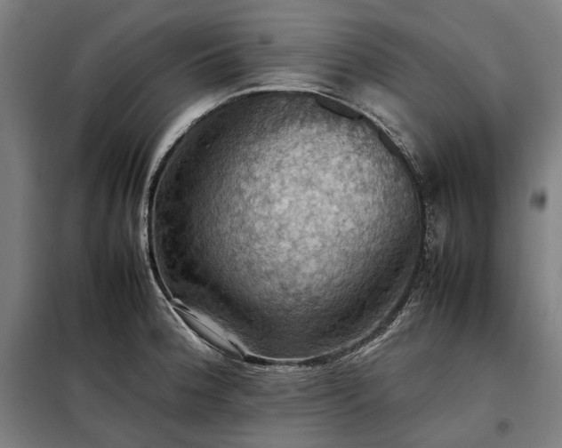 X0000098001188200804021024