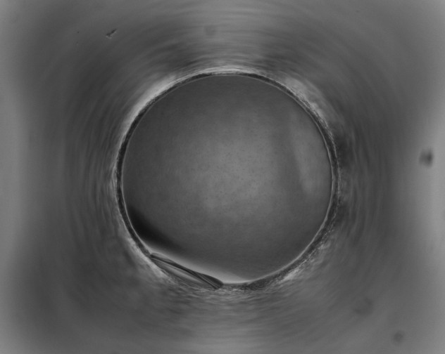 X0000098001189200804021024