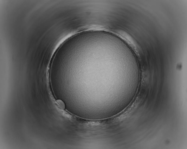 X0000098001190200804021024