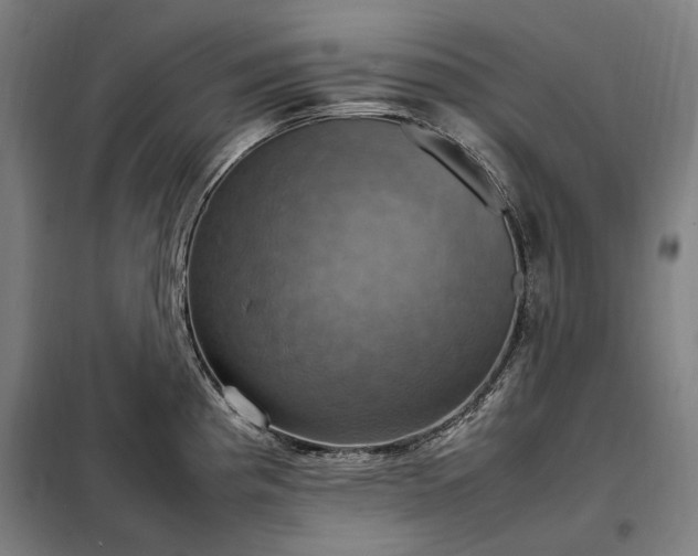 X0000098001193200804021024