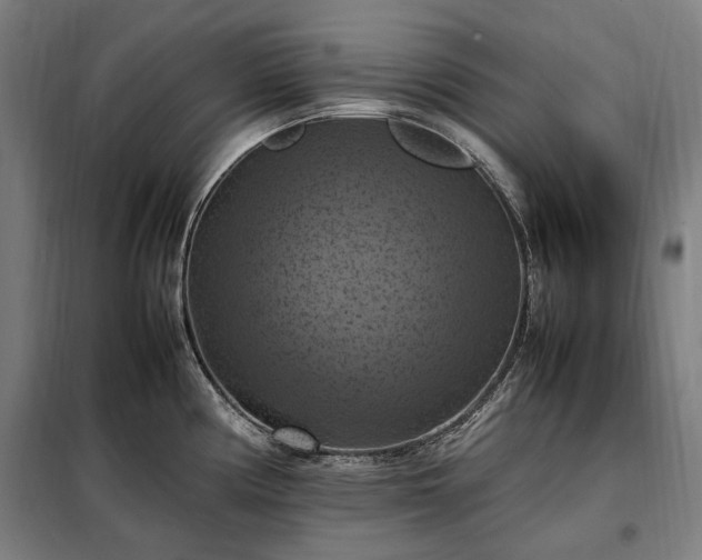 X0000098001194200804021024