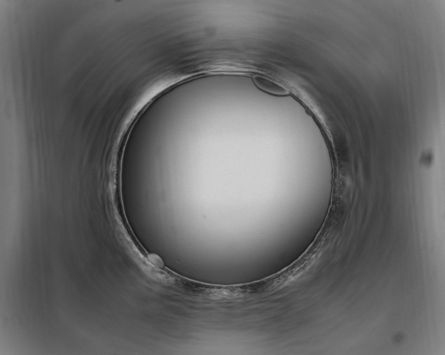 X0000098001195200804021024