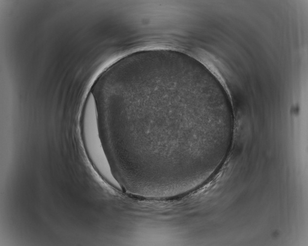 X0000098001197200804021024
