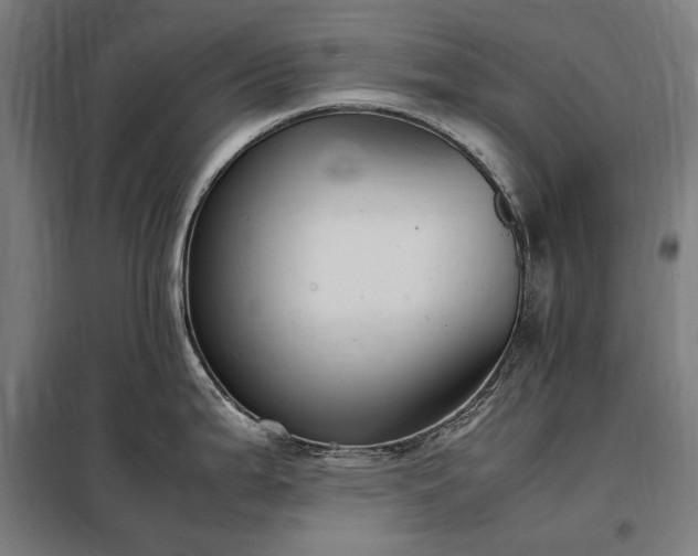 X0000098001199200804021024
