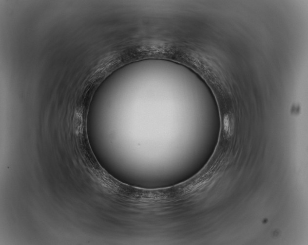 X0000098001203200804021023