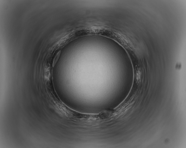 X0000098001204200804021024