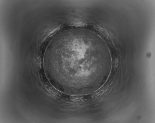 X0000098001205200804021024