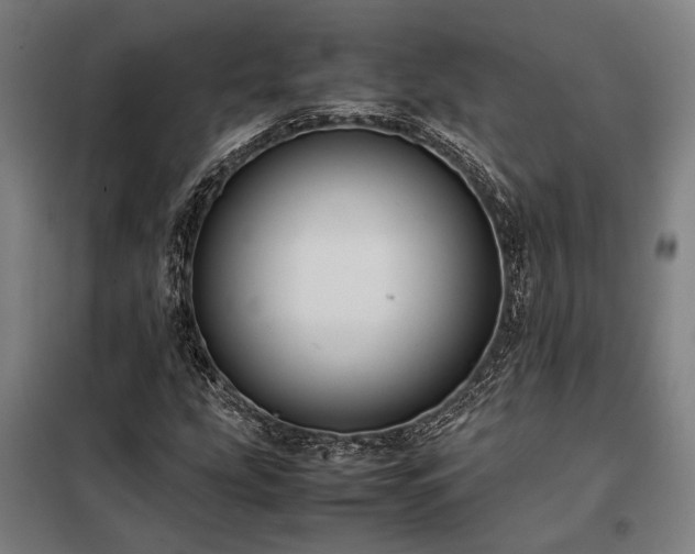 X0000098001207200804021024