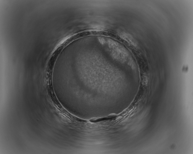 X0000098001208200804021024