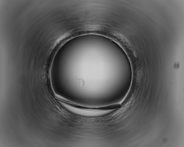 X0000098001210200804021024