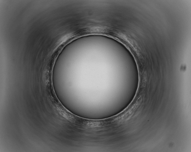 X0000098001211200804021024