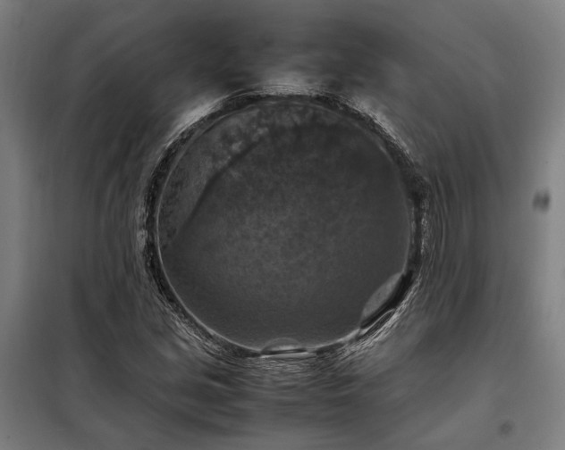 X0000098001213200804021024