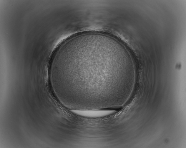 X0000098001214200804021024