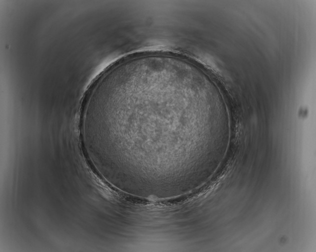 X0000098001216200804021024