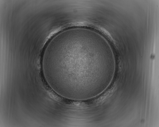 X0000098001218200804021024