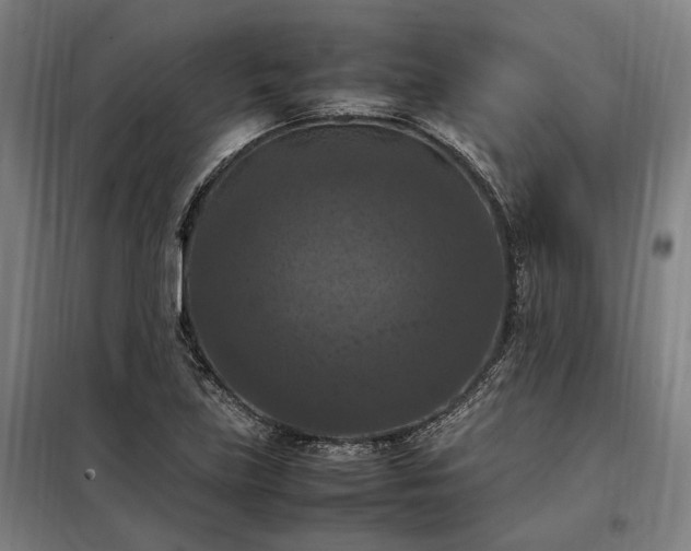 X0000098001219200804021024