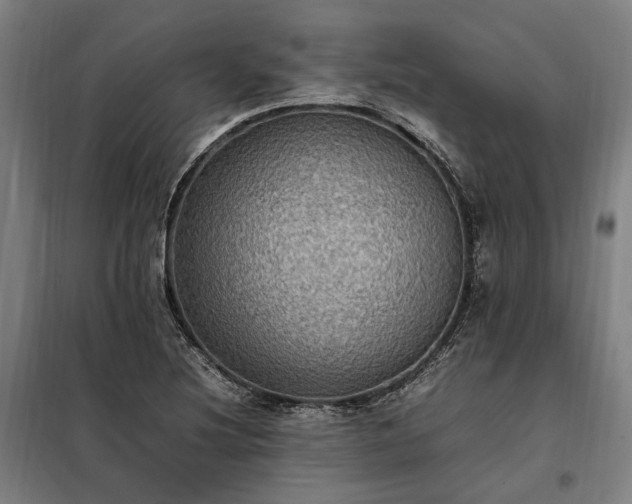 X0000098001220200804021024