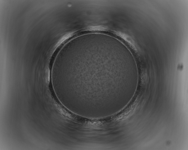 X0000098001221200804021024