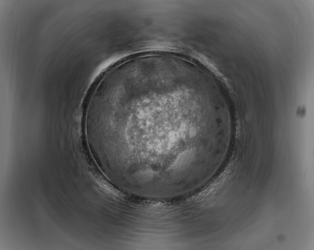 X0000098001222200804021024