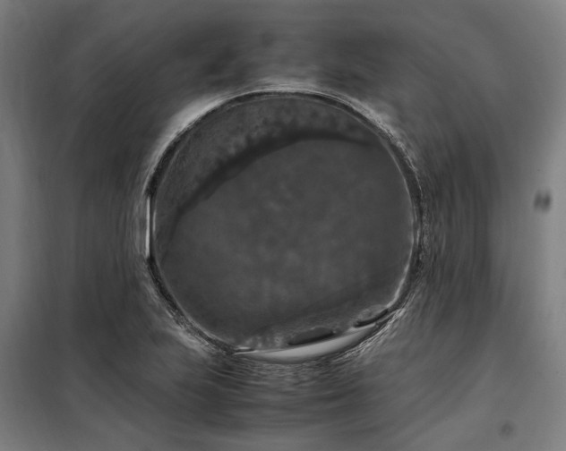 X0000098001223200804021024