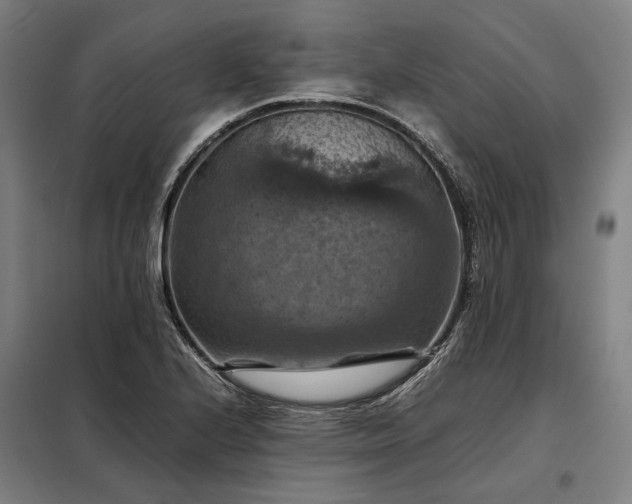 X0000098001224200804021024