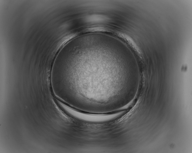 X0000098001225200804021024