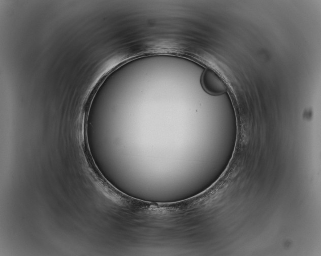 X0000098001227200804021024