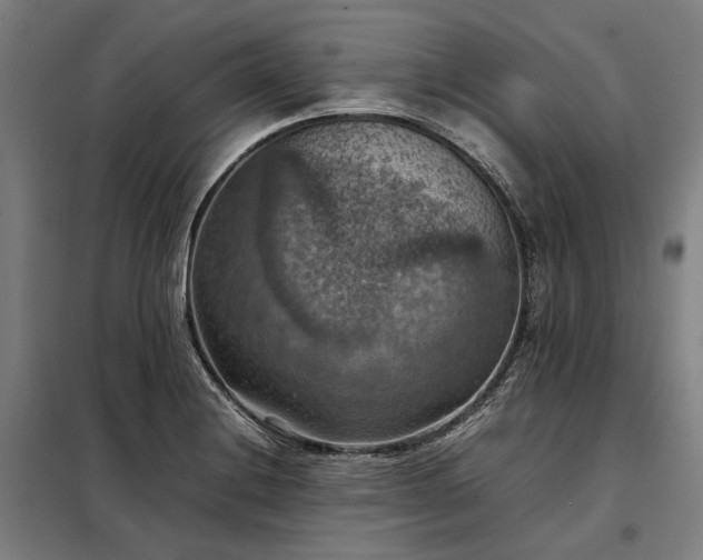 X0000098001228200804021024