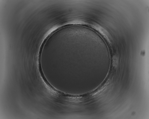X0000098001229200804021024