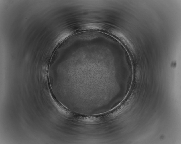 X0000098001233200804021024