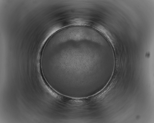 X0000098001235200804021024