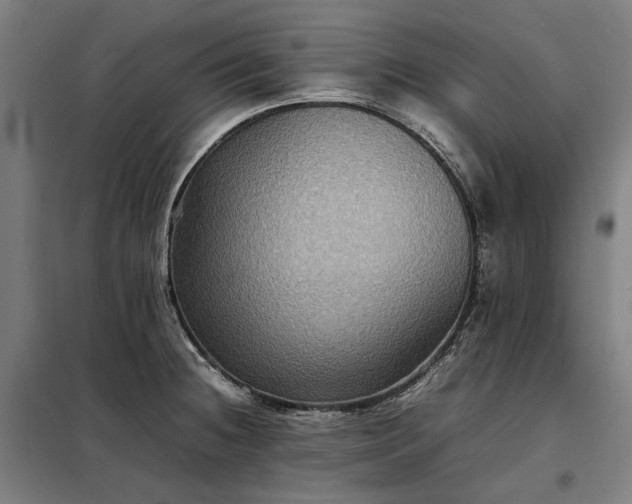 X0000098001236200804021024