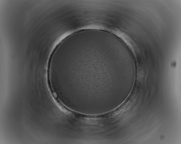 X0000098001237200804021024