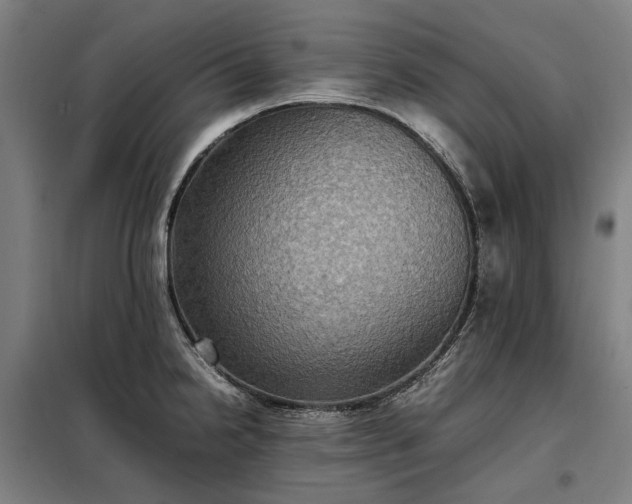 X0000098001238200804021024