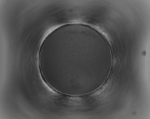 X0000098001239200804021024