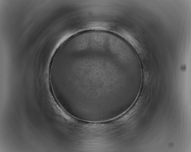 X0000098001240200804021024