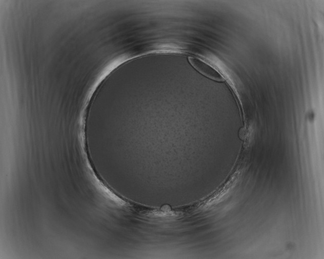 X0000098001243200804021024