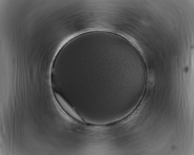 X0000098001246200804021024