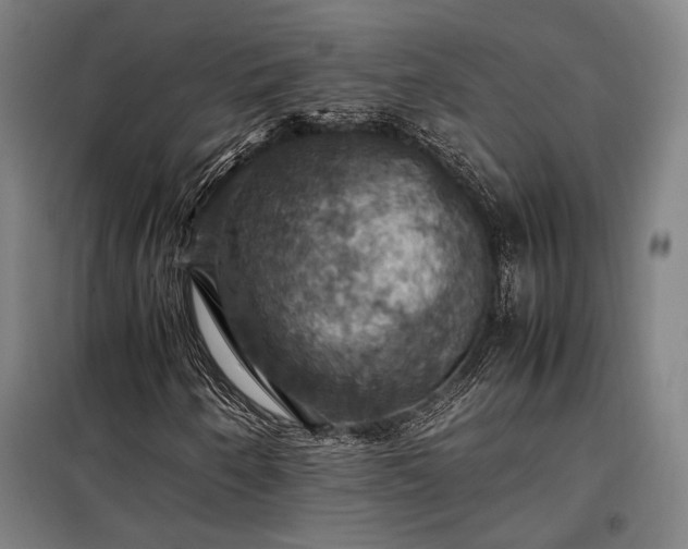 X0000098001250200804021023