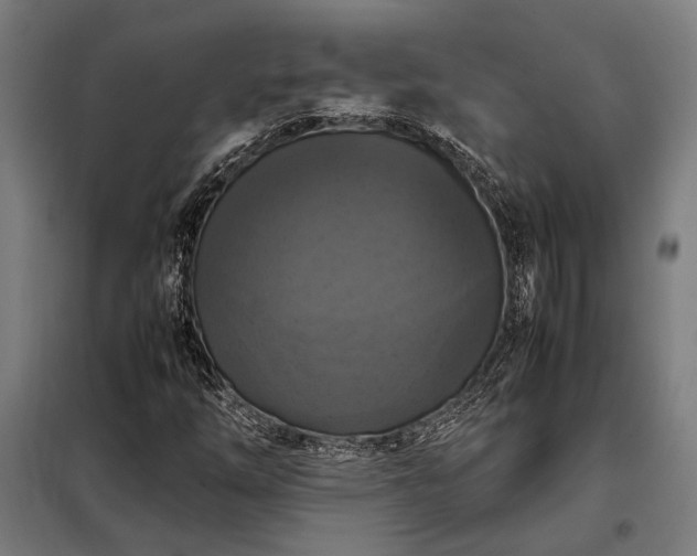 X0000098001254200804021023