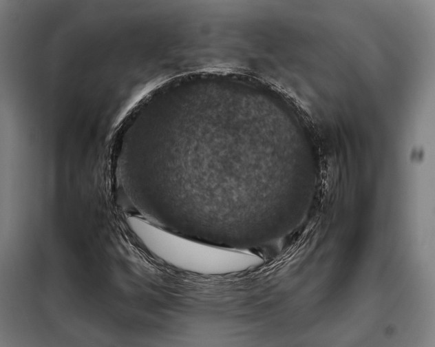 X0000098001256200804021023