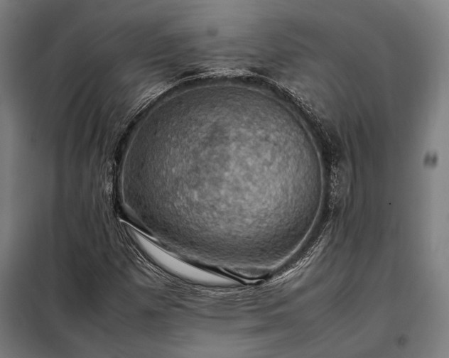 X0000098001257200804021023