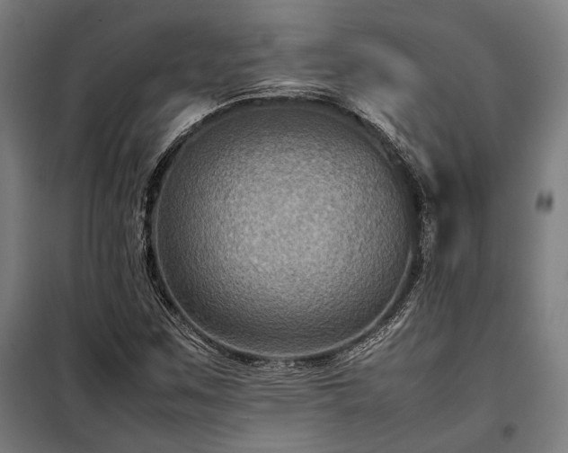 X0000098001259200804021023